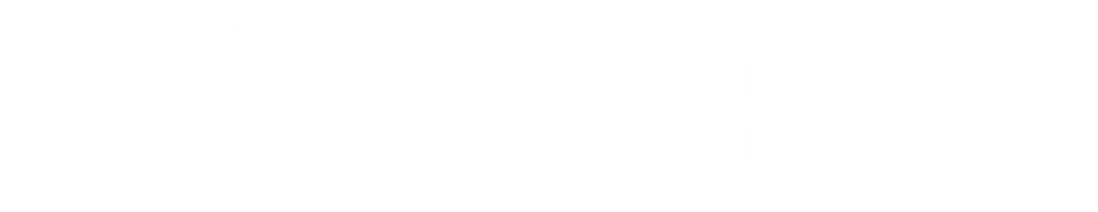 shopvorrex.com